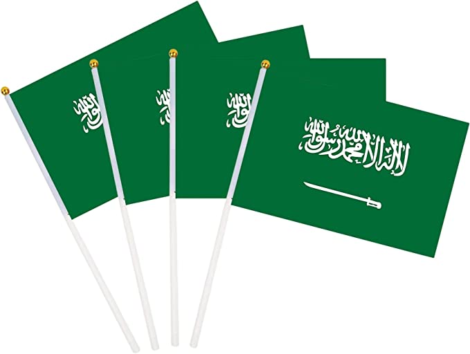 25 pcs toothpick with Saudi Flag