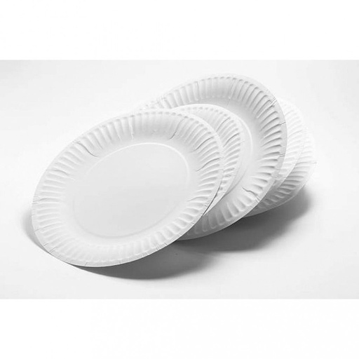 [RSTU-0036] paper dish 9" for motabbaq -1200/cartoon