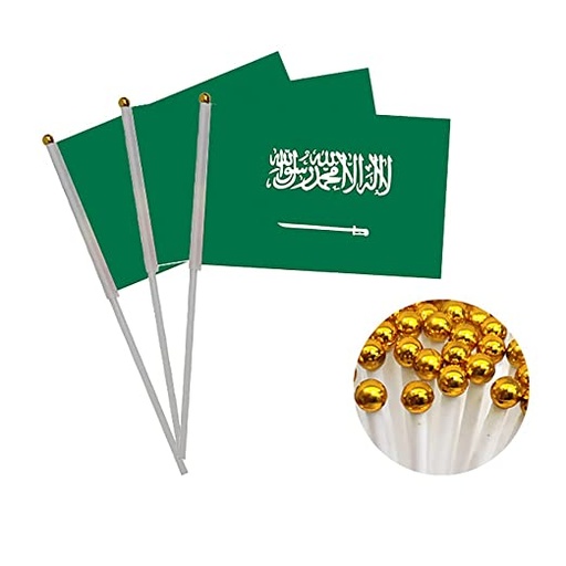 [CORP-0020] Saudi Flag 20x30 cm